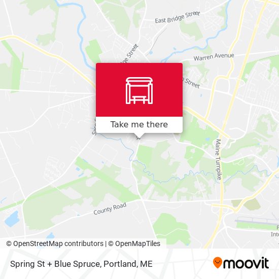 Spring St + Blue Spruce map