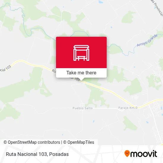 Ruta Nacional 103 map