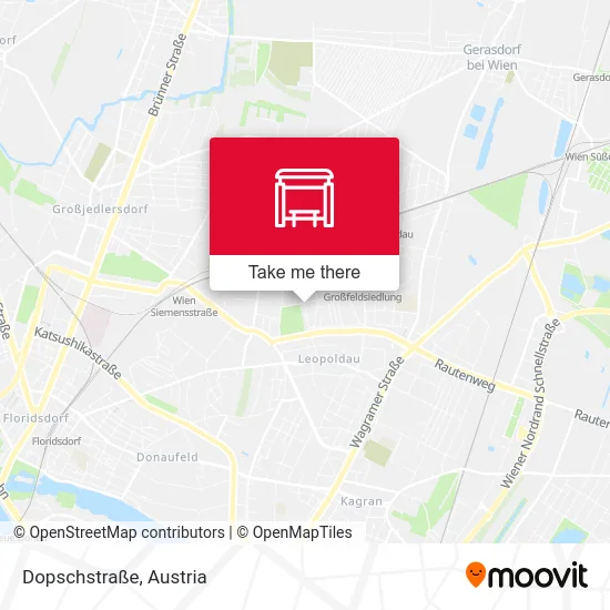 Dopschstraße map