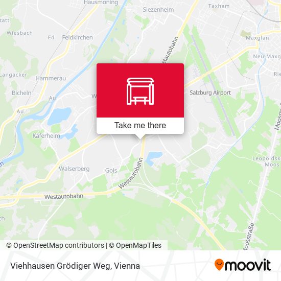 Viehhausen Grödiger Weg map