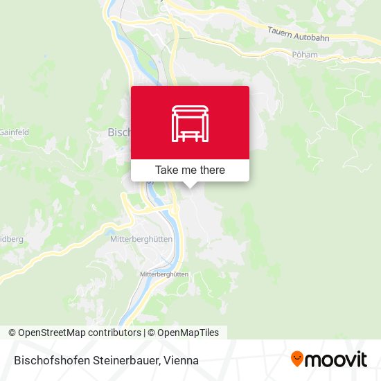Bischofshofen Steinerbauer map