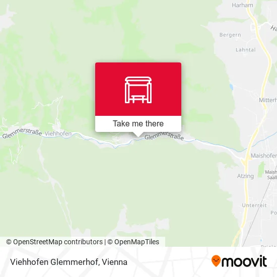 Viehhofen Glemmerhof map