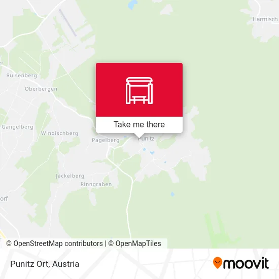 Punitz Ort map