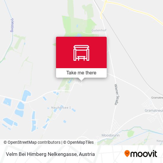 Velm Bei Himberg Nelkengasse map