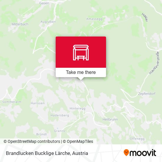 Brandlucken Bucklige Lärche map
