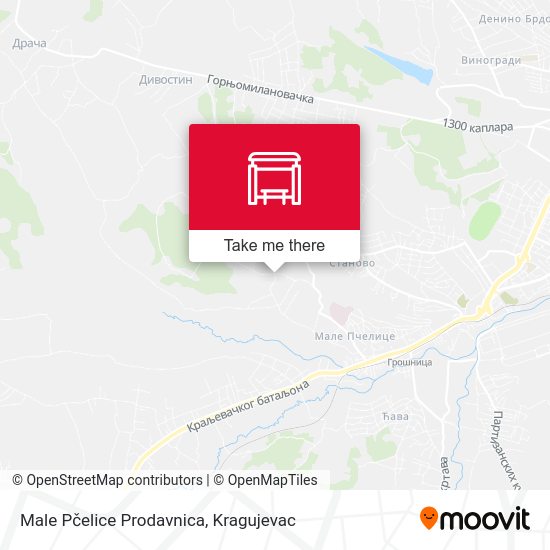 Male Pčelice Prodavnica map