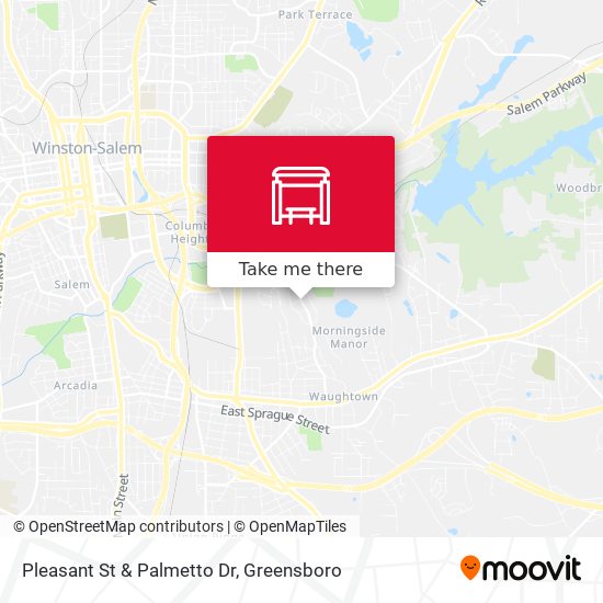 Mapa de Pleasant St & Palmetto Dr