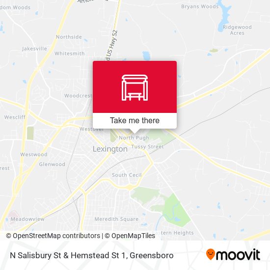 N Salisbury St & Hemstead St 1 map