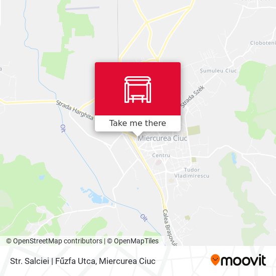 Str. Salciei | Fűzfa Utca map