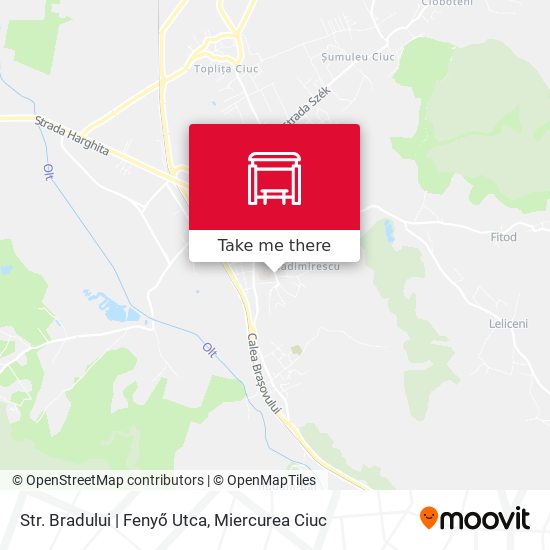 Str. Bradului | Fenyő Utca map