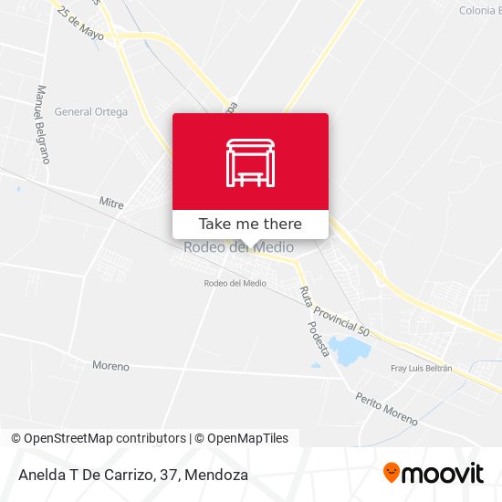 Anelda T De Carrizo, 37 map