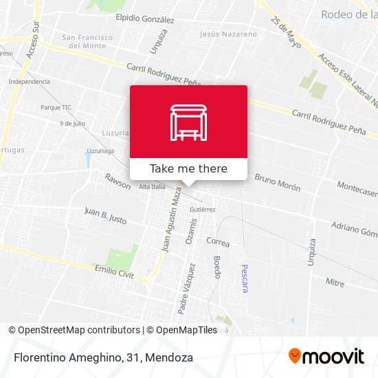 Mapa de Florentino Ameghino, 31