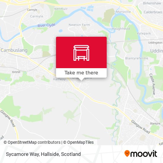 Sycamore Way, Hallside map