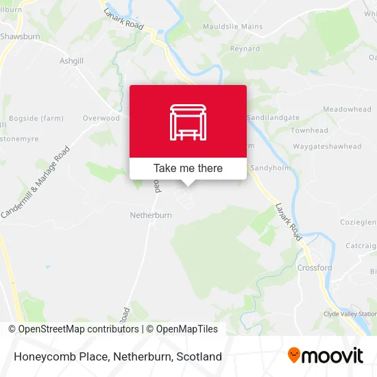 Honeycomb Place, Netherburn map