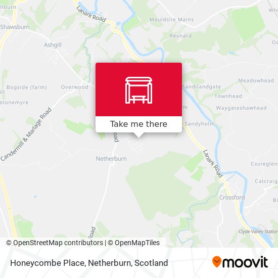 Honeycombe Place, Netherburn map