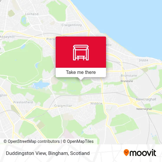 Duddingston View, Bingham map