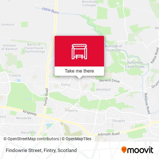 Findowrie Street, Fintry map