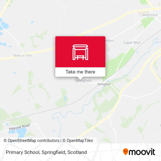 Primary School, Springfield map