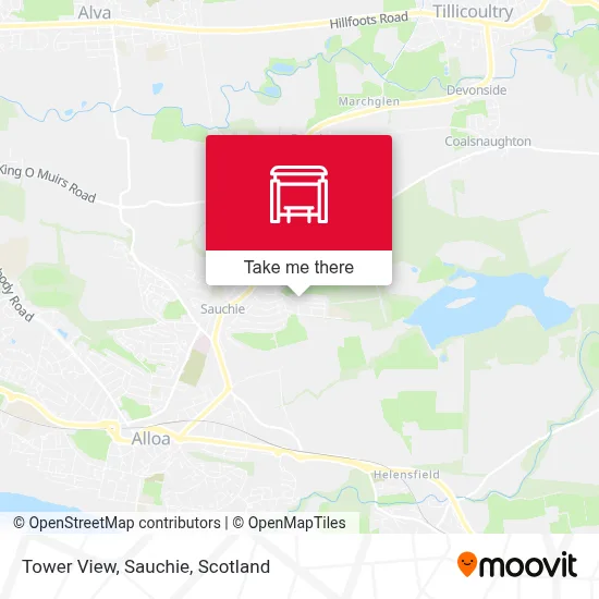 Tower View, Sauchie map