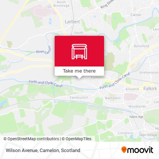 Wilson Avenue, Camelon map