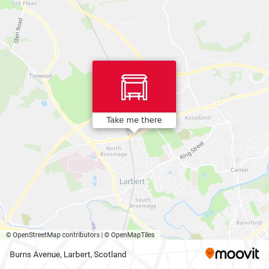 Burns Avenue, Larbert map