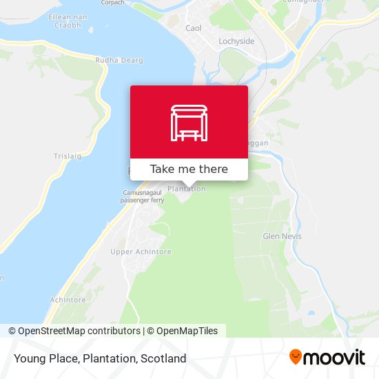 Young Place, Plantation map