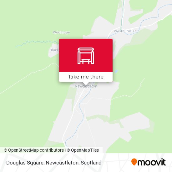 Douglas Square, Newcastleton map