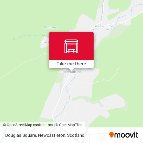 Douglas Square, Newcastleton map