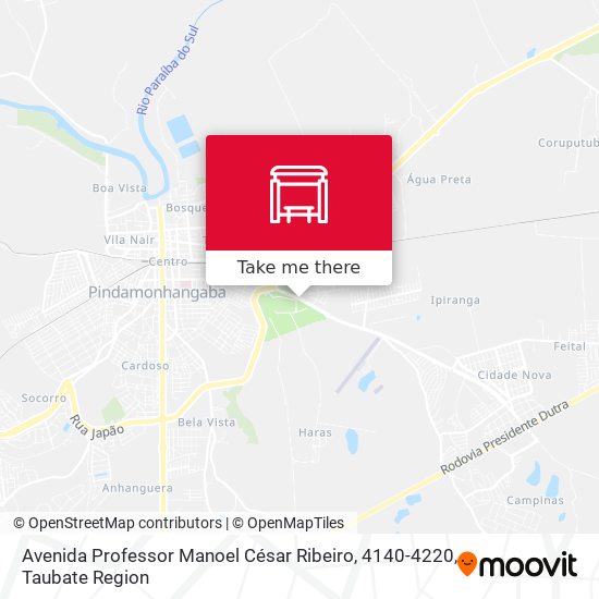 Avenida Professor Manoel César Ribeiro, 4140-4220 map