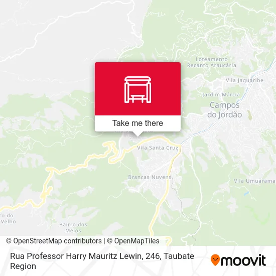 Rua Professor Harry Mauritz Lewin, 246 map