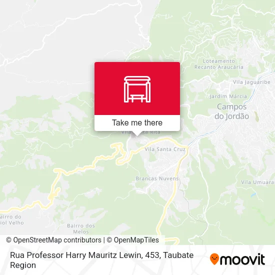 Rua Professor Harry Mauritz Lewin, 453 map