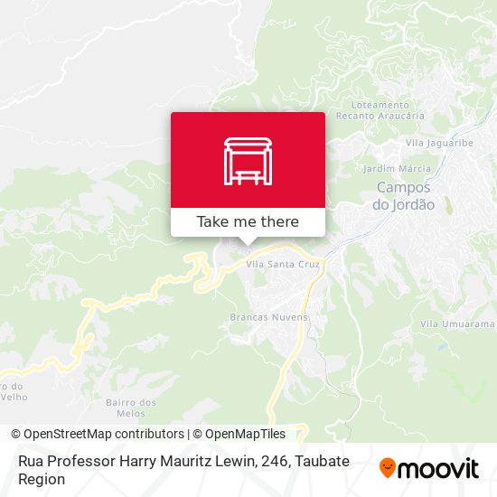 Rua Professor Harry Mauritz Lewin, 246 map