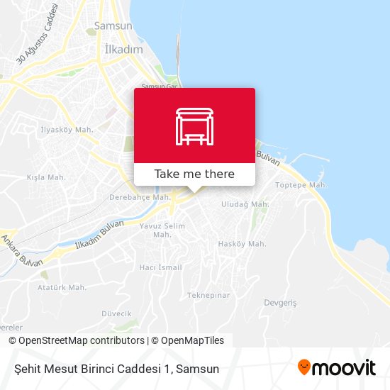 Şehit Mesut Birinci Caddesi 1 map