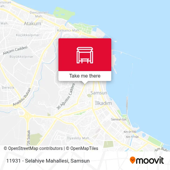 11931 - Selahiye Mahallesi map