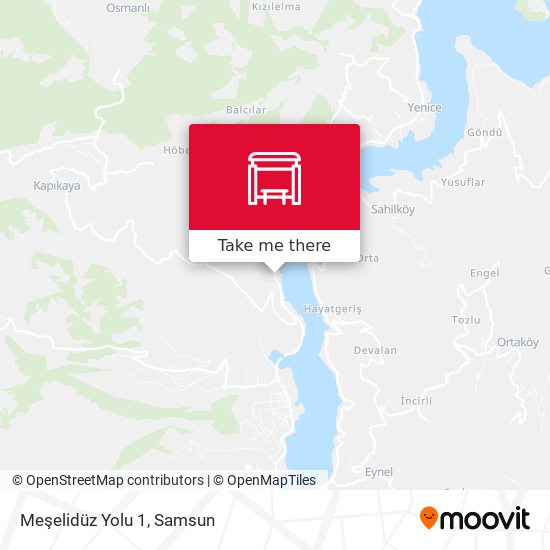 Meşelidüz Yolu 1 map