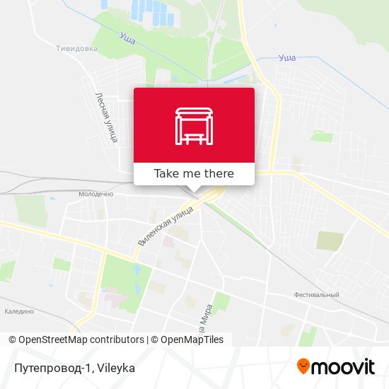 Путепровод-1 map