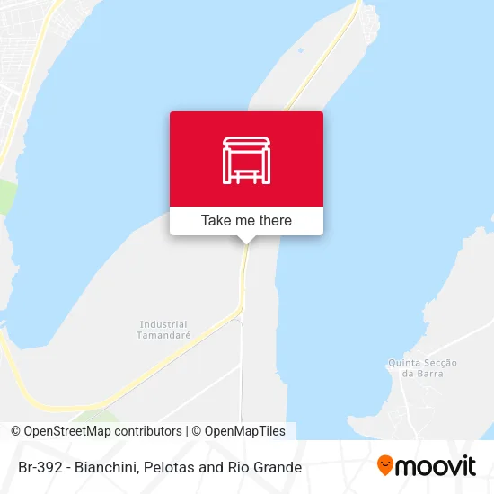 Br-392 - Bianchini map