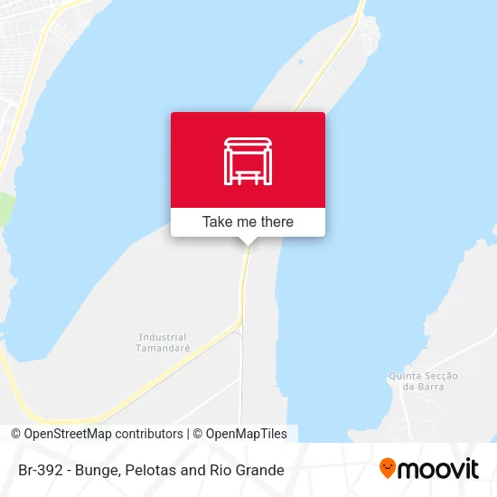 Br-392 - Bunge map