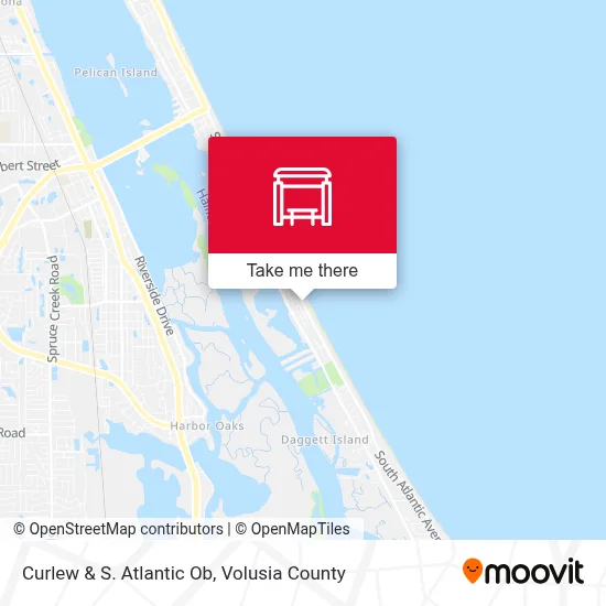 Curlew & S. Atlantic Ob map