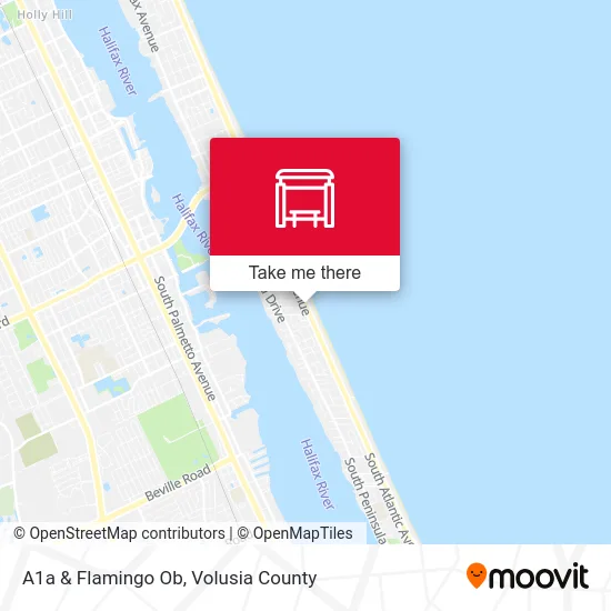 A1a & Flamingo Ob map