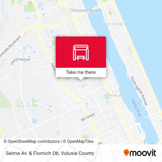 Selma Av. & Flomich Ob map