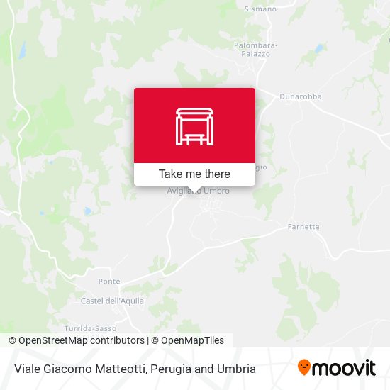 Viale Giacomo Matteotti map