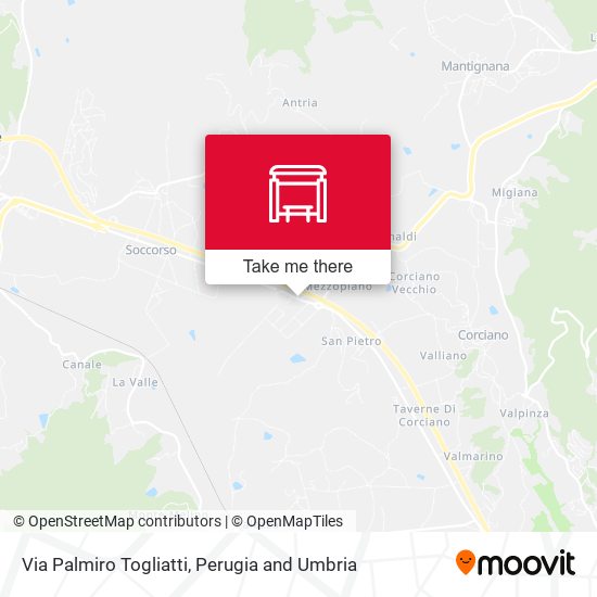 Via Palmiro Togliatti map