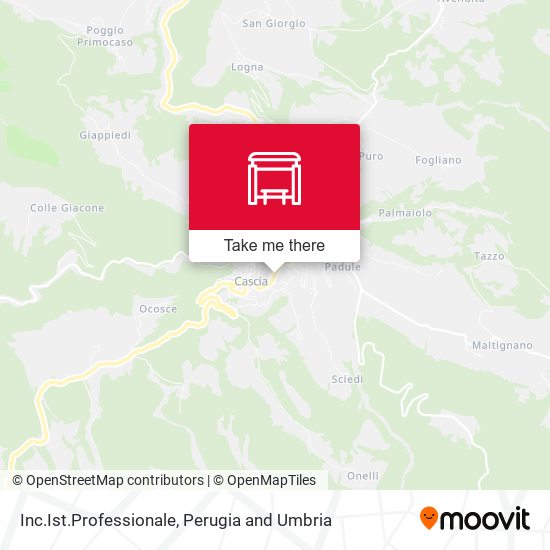 Inc.Ist.Professionale map
