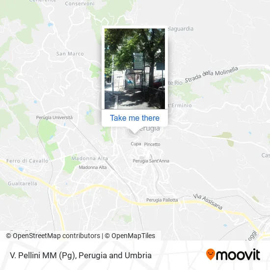 V. Pellini M​M (Pg) map