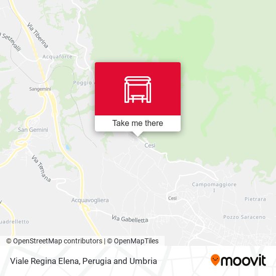 Viale Regina Elena map