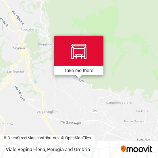 Viale Regina Elena map