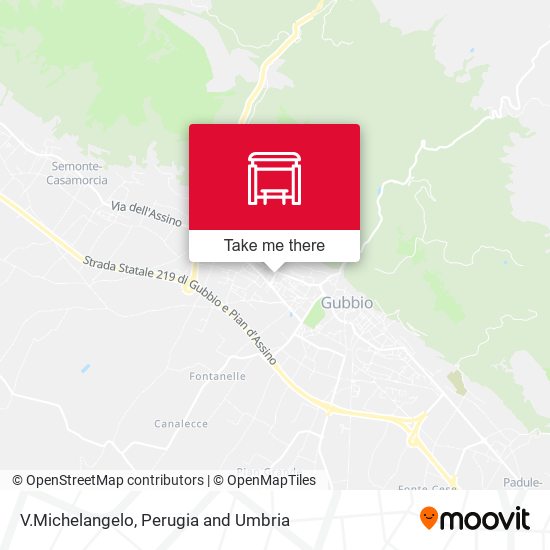 V.Michelangelo map