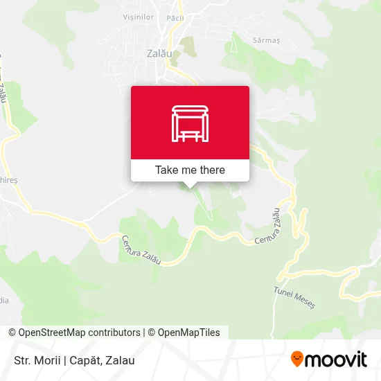 Str. Morii | Capăt map