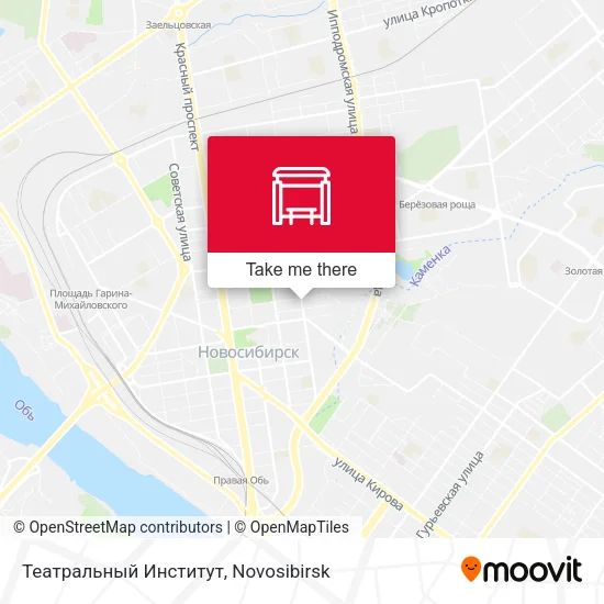 Театральный Институт map